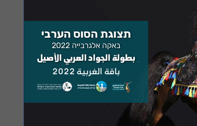 Screenshot 2022 05 28 104944 768x493